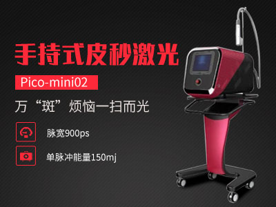 �ֳ�Ƥ��pico-mini02.jpg